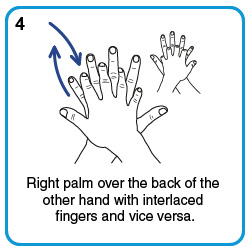 Right palm over the back of the other hand with interlaced fingers and vice versa.