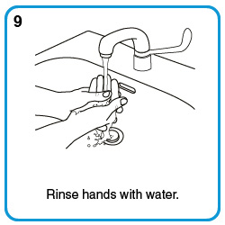 Rinse hands with water.