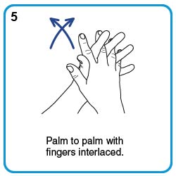 Palm to palm with fingers interlaced